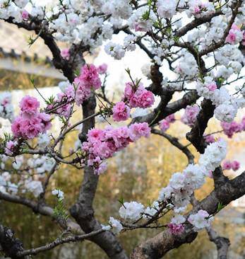 �һ���������