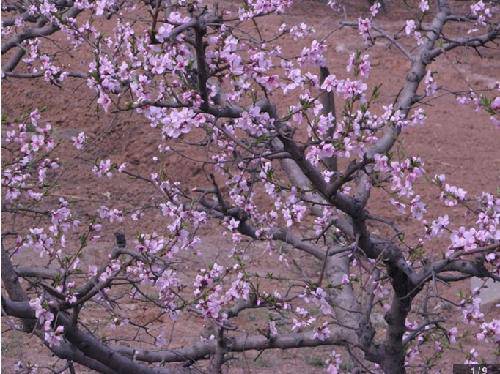 �һ���������