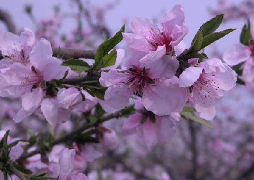 �һ���������