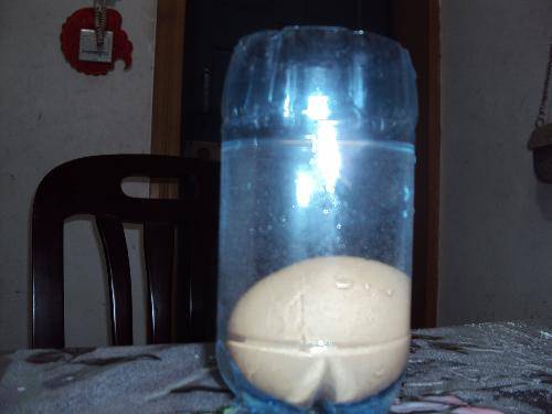 �����ļ���������ʵ�飩����