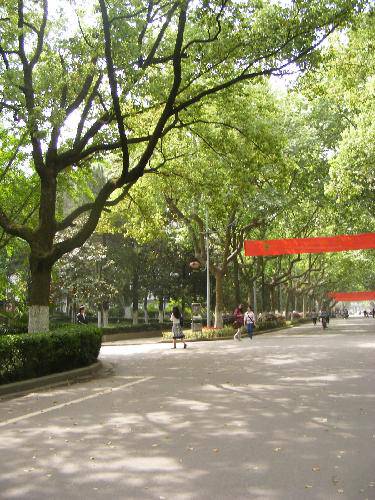 �Ͼ�֮�С����Ͼ���ѧ����