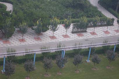 ���������ˬ����Ȥ�α�ɳ������