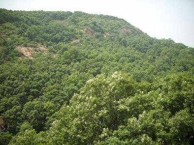 ��������ɽ����