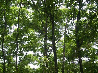 ��������ɽ����