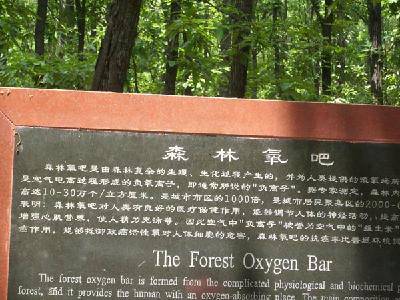 ��������ɽ����