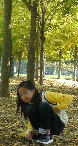 �����������Ҷ����