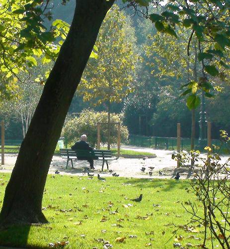 �����������Ҷ����