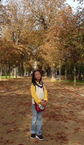 �����������Ҷ����