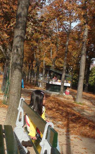 �����������Ҷ����