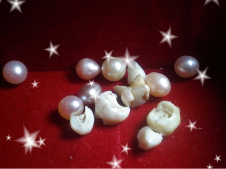 �ҵ������ҵİ�(��ͼ������