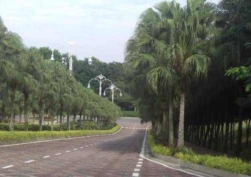 �¡���֮�С��������� ��βʨ�ļ�������