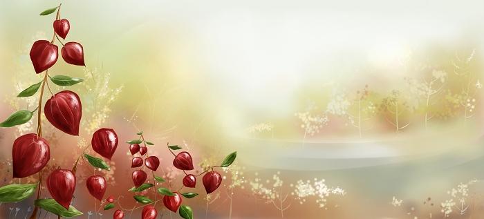 ��ٴ��̵�����