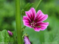 ��������գ��������ж�����