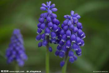 ��������գ��������ж�����