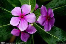 ��������գ��������ж�����