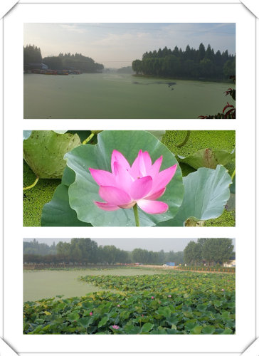 ߡһ֮ڳ---ٳܶ鿪ʼ