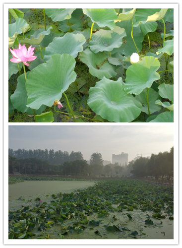 ߡһ֮ڳ---ٳܶ鿪ʼ