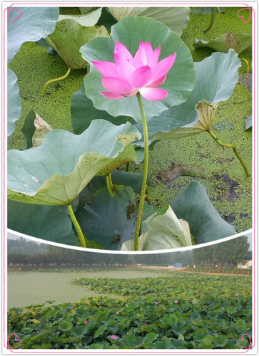 ߡһ֮ڳ---ٳܶ鿪ʼ