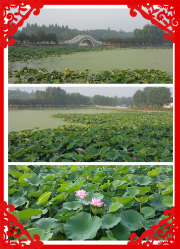 ߡһ֮ڳ---ٳܶ鿪ʼ