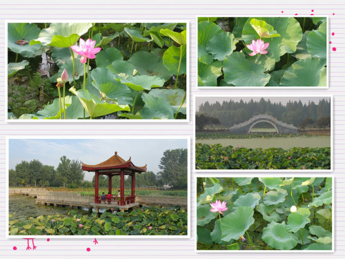 ߡһ֮ڳ---ٳܶ鿪ʼ