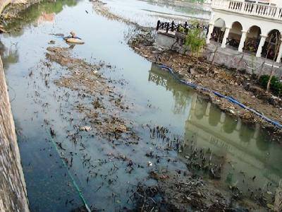 �������һ��������