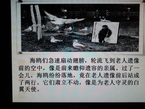 �ҵ�һ�ڹ�Ħ���ֿ�����