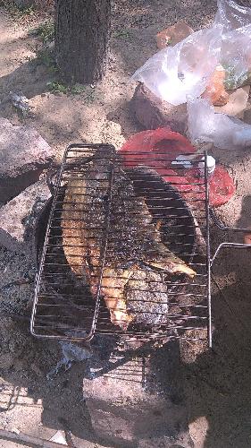 ������ʳ�ң��޸İ棩����