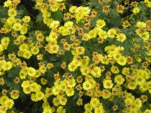 Ѱ��������㼣����