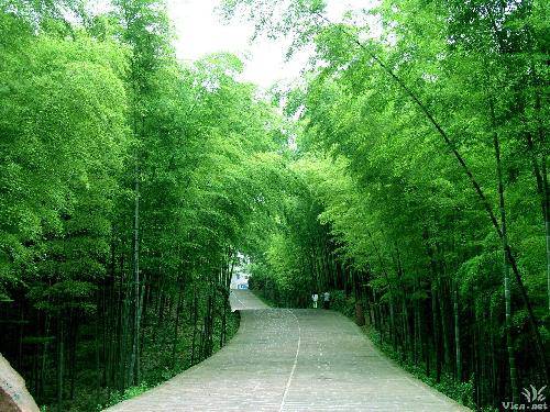 ��ѧ�ж�Զ����ţ�Ĺ�������