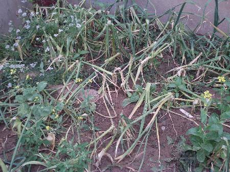 С������