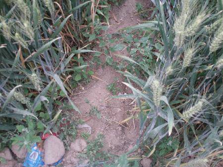 С������