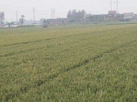 С������