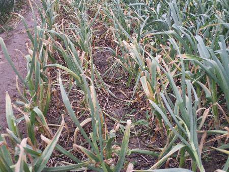 С������