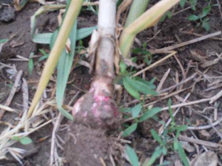 С������