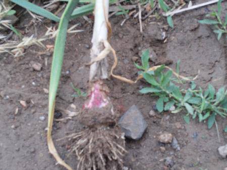 С������