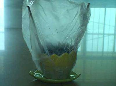 ��������ֲ�ռǣ�1һ2����ͼ����