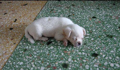 һ���������ݵ��־�����