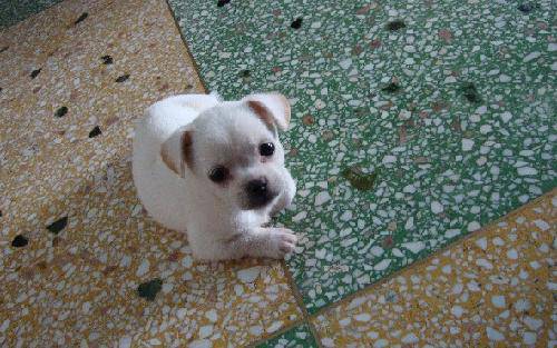 һ���������ݵ��־�����