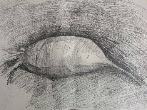 һ���˵Ļ�������