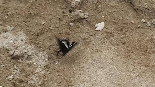 �ҵķ���----�ں�������