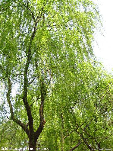 ���ϴ�����Ӱ��ʫ������֮��������������