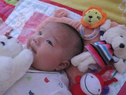 ����С�ܡ������ԡ�����