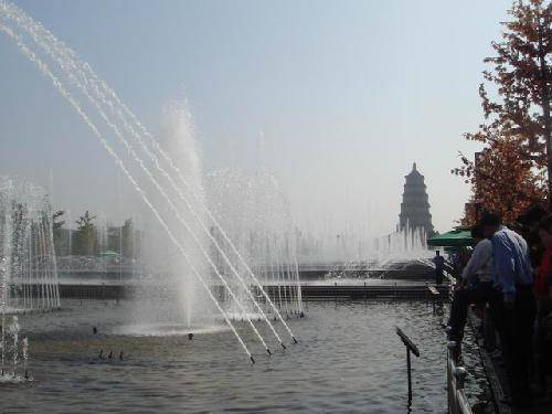 �ۿ�������Ȫ����