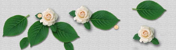 ���Դ����������