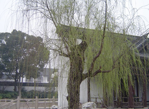 �ұ�����ײ��һ��������