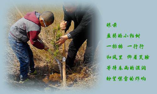 ���ϴ�����Ӱ��ʫ������ֲ֮������