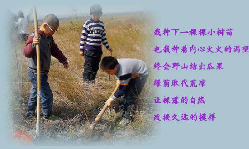 ���ϴ�����Ӱ��ʫ������ֲ֮������