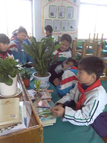 ����ů������ϵ����������