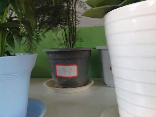 ����ů������ϵ����������