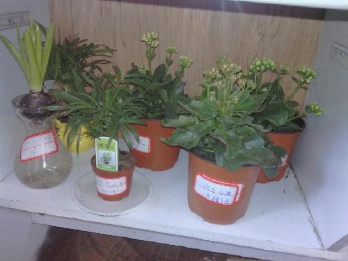 ����ů������ϵ����������